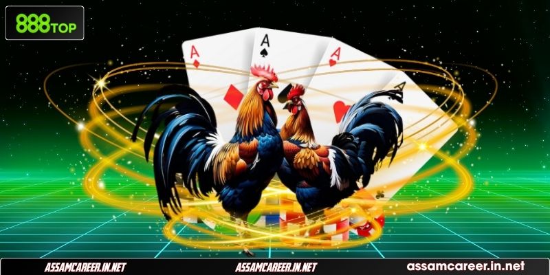 Các tính năng nổi bật trong cược đá gà trực tuyến