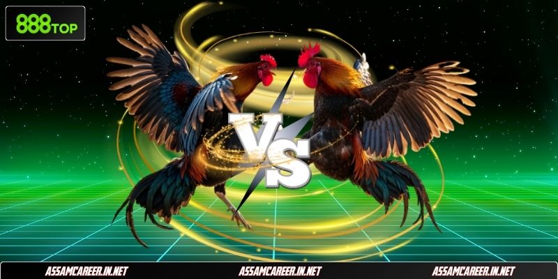 Đá gà 888Top sống động với chi tiết kỹ năng