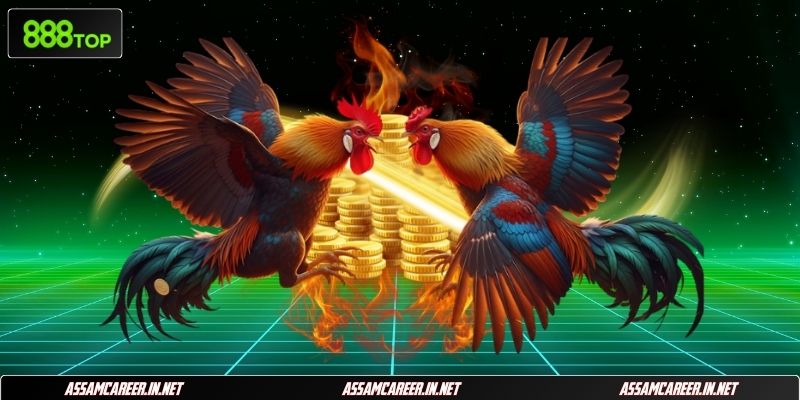 Hướng dẫn các bước tham gia cược online