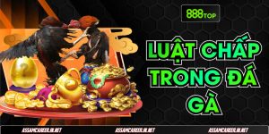 Luật Chấp Trong Đá Gà: Tổng Hợp Các Quy Định Chuẩn Nhất
