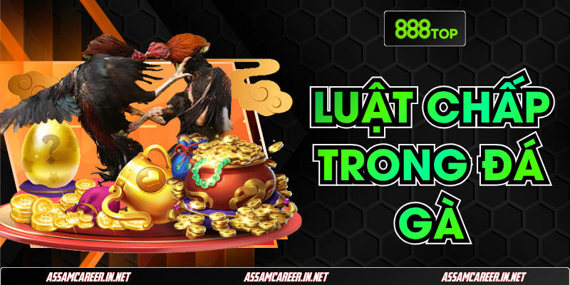 Luật Chấp Trong Đá Gà: Tổng Hợp Các Quy Định Chuẩn Nhất Luật Chấp Trong Đá Gà: Tổng Hợp Các Quy Định Chuẩn Nhất