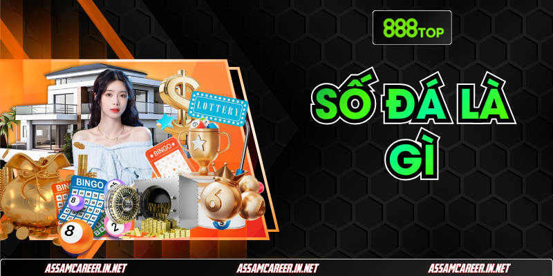 Số Đá Là Gì? Giải Mã Chi Tiết Cách Chơi Cho Người Mới Số Đá Là Gì? Giải Mã Chi Tiết Cách Chơi Cho Người Mới