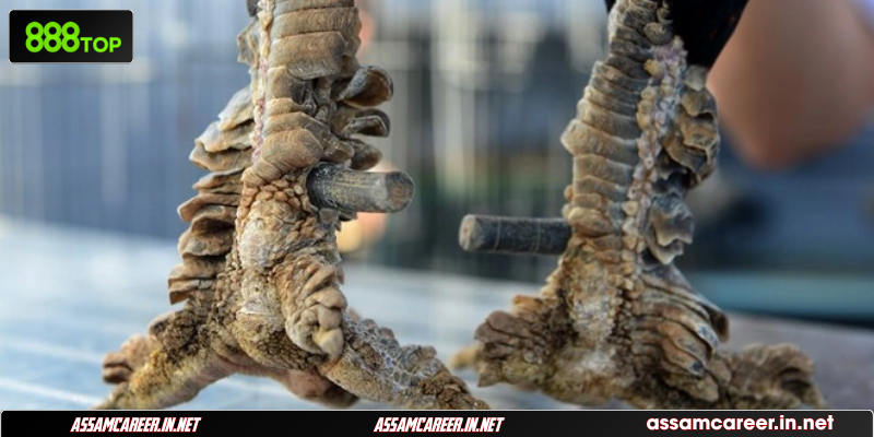 Thống kê trận đấu ấn tượng